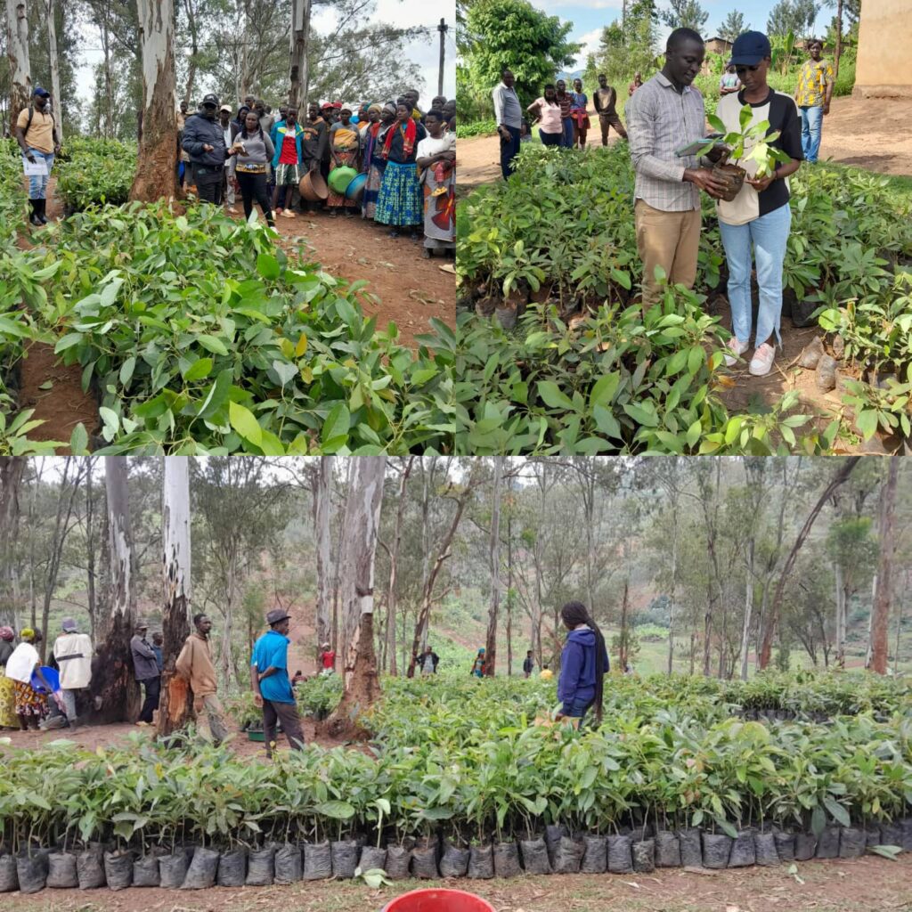 Environmental Protection Program Environment Protection – Bridge Africa International